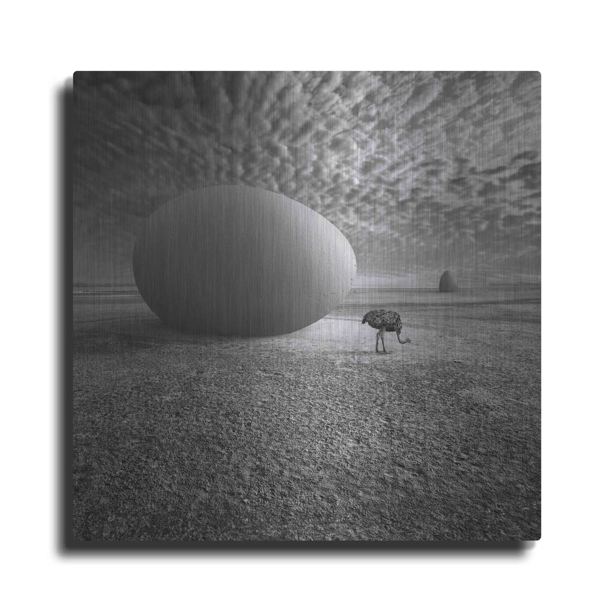 'EggO' by Dariusz Klimczak – Metal Wall Art