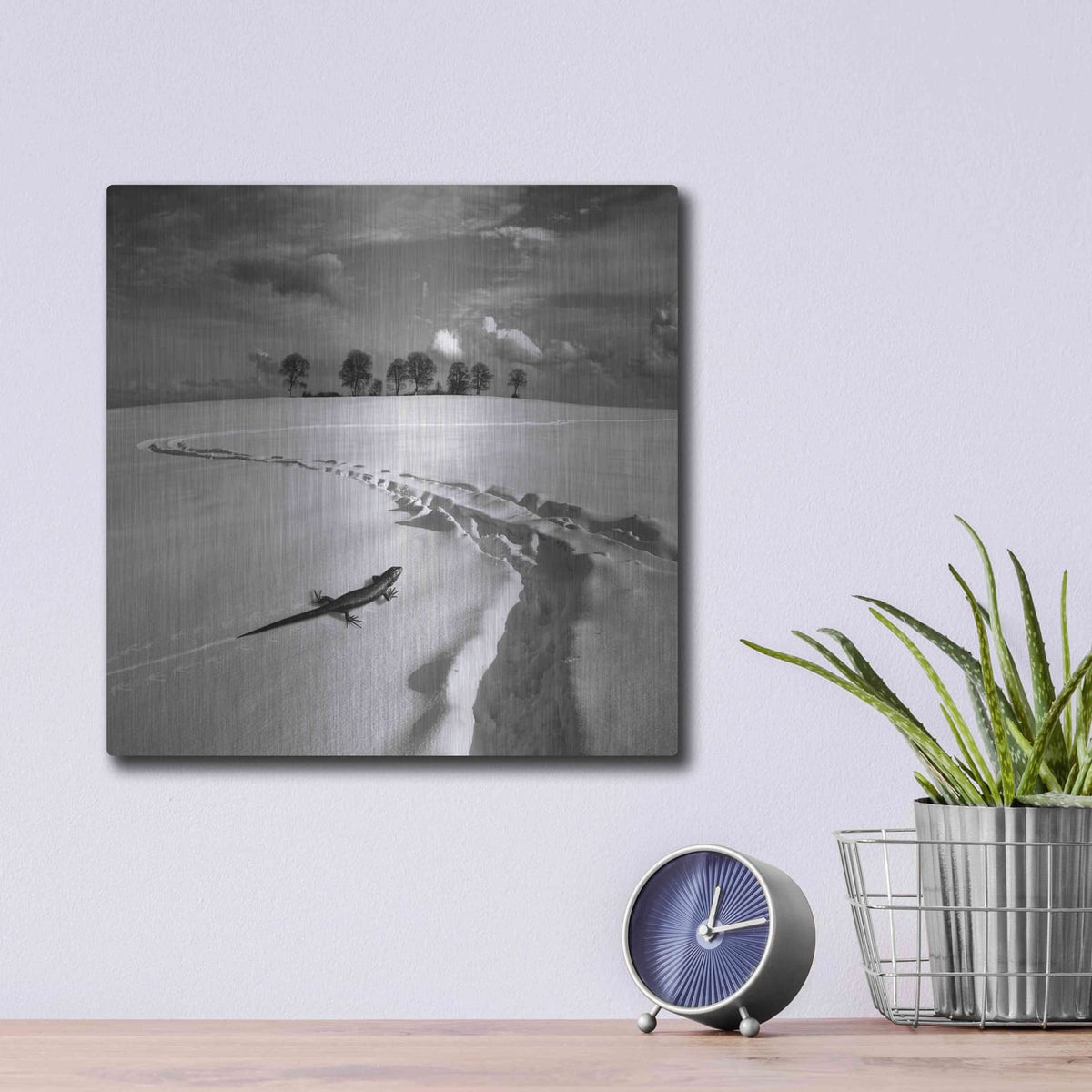 'Snowy Lizard' by Dariusz Klimczak – Metal Wall Art, 12x12 room view