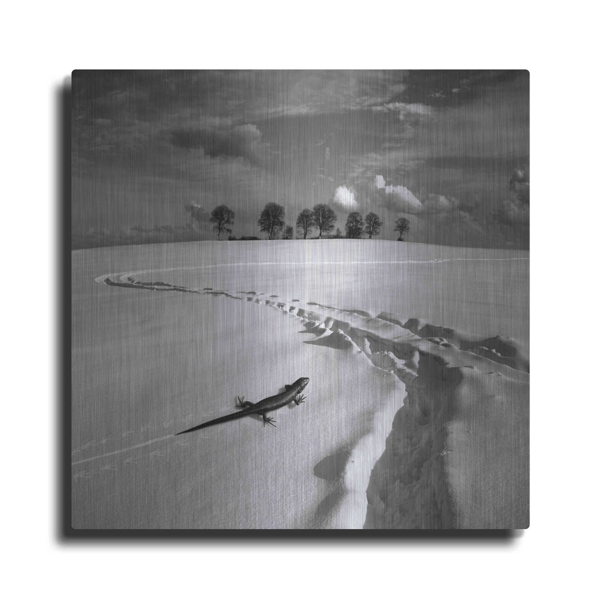 'Snowy Lizard' by Dariusz Klimczak – Metal Wall Art