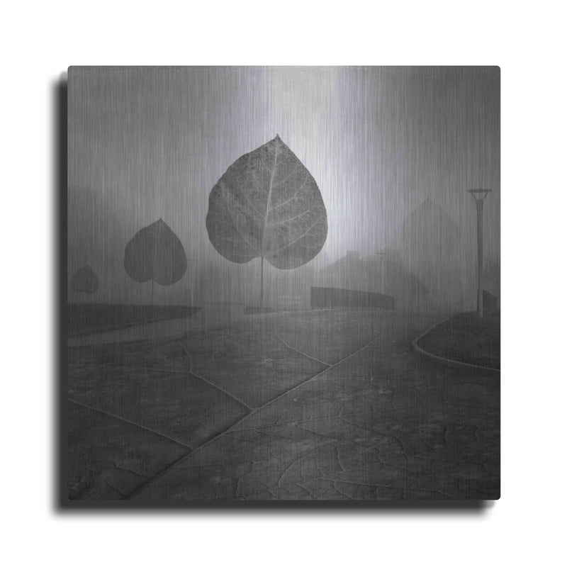 'Leave Alley' by Dariusz Klimczak – Metal Wall Art