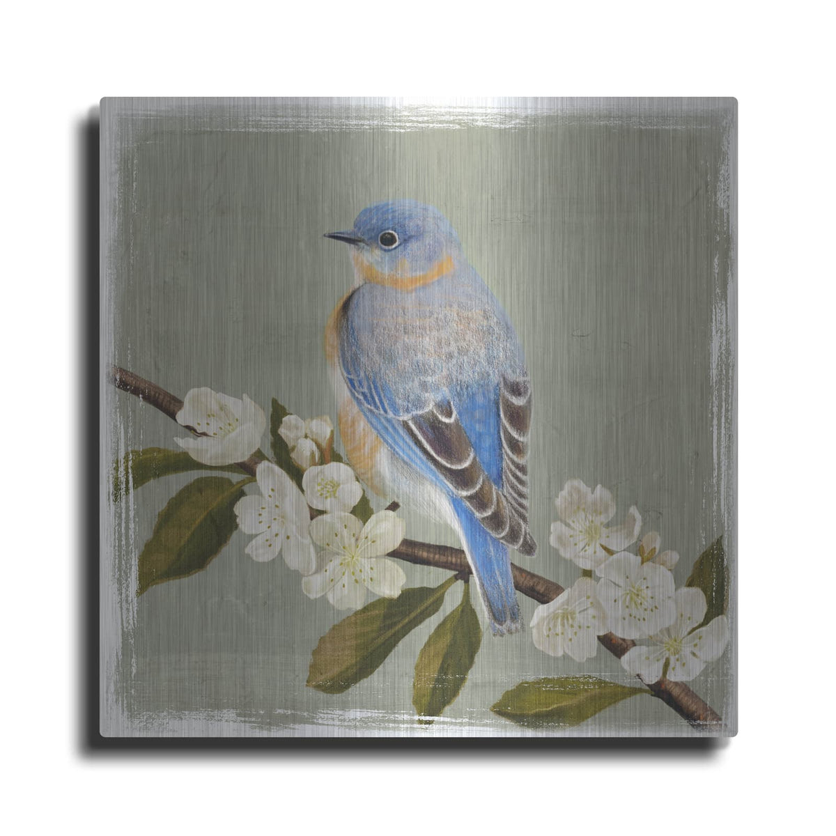 'Bluebird Branch II' by Victoria Borges – Metal Wall Art