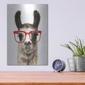 'Hip Llama I' by Victoria Borges – Metal Wall Art, 12x16 room view