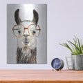 'Hip Llama III' by Victoria Borges – Metal Wall Art, 12x16 room view