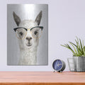 'Hip Llama IV' by Victoria Borges – Metal Wall Art, 12x16 room view