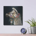 'Lovely Llama II' by Victoria Borges – Metal Wall Art, 12x12 room view