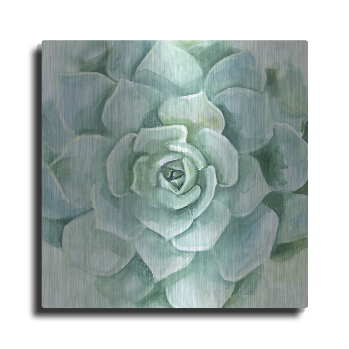 'Verdant Succulent I' by Victoria Borges – Metal Wall Art