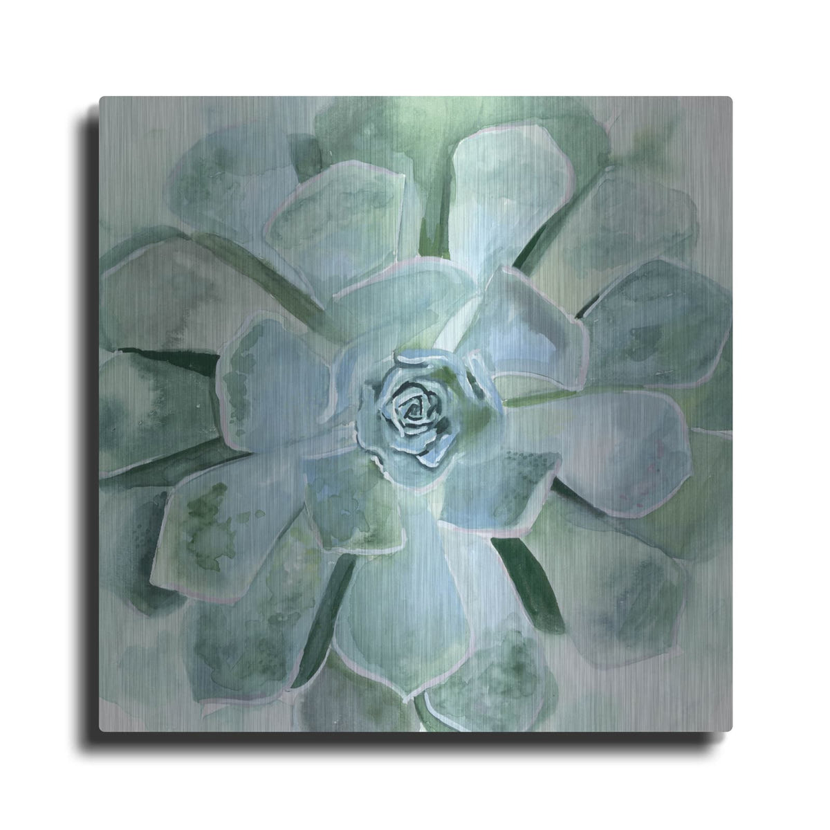'Verdant Succulent III' by Victoria Borges – Metal Wall Art