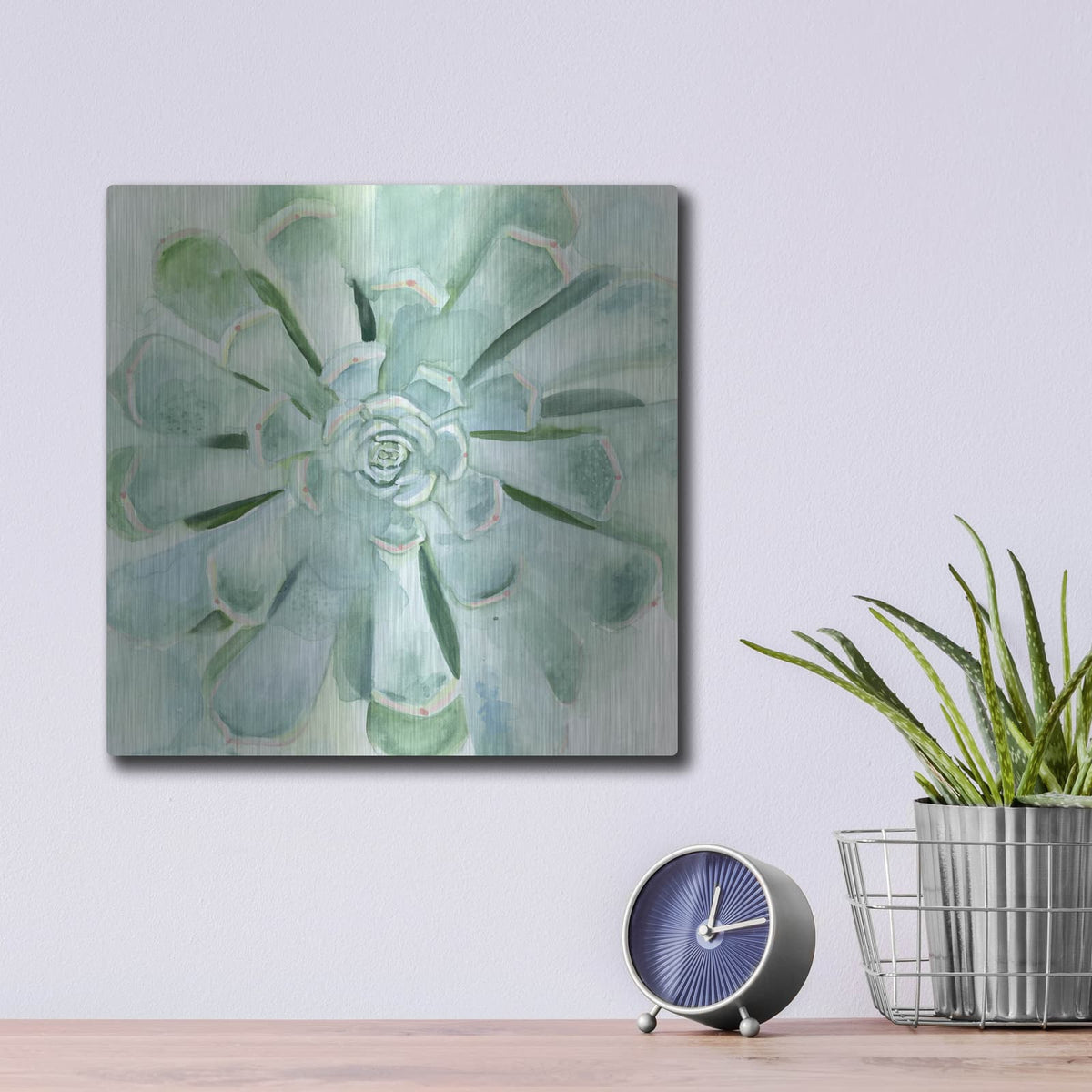 'Verdant Succulent IV' by Victoria Borges – Metal Wall Art, 12x12 room view