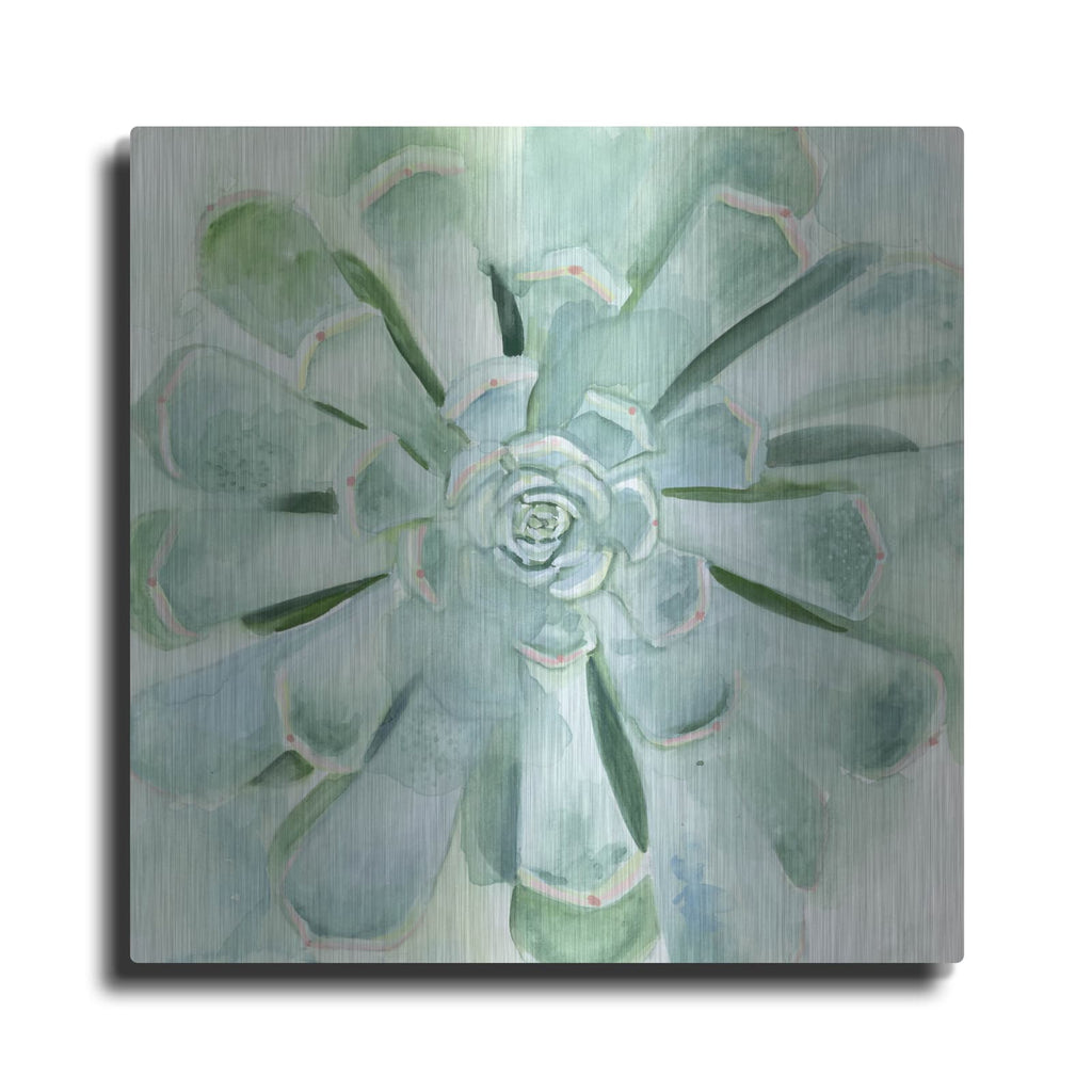 'Verdant Succulent IV' by Victoria Borges – Metal Wall Art