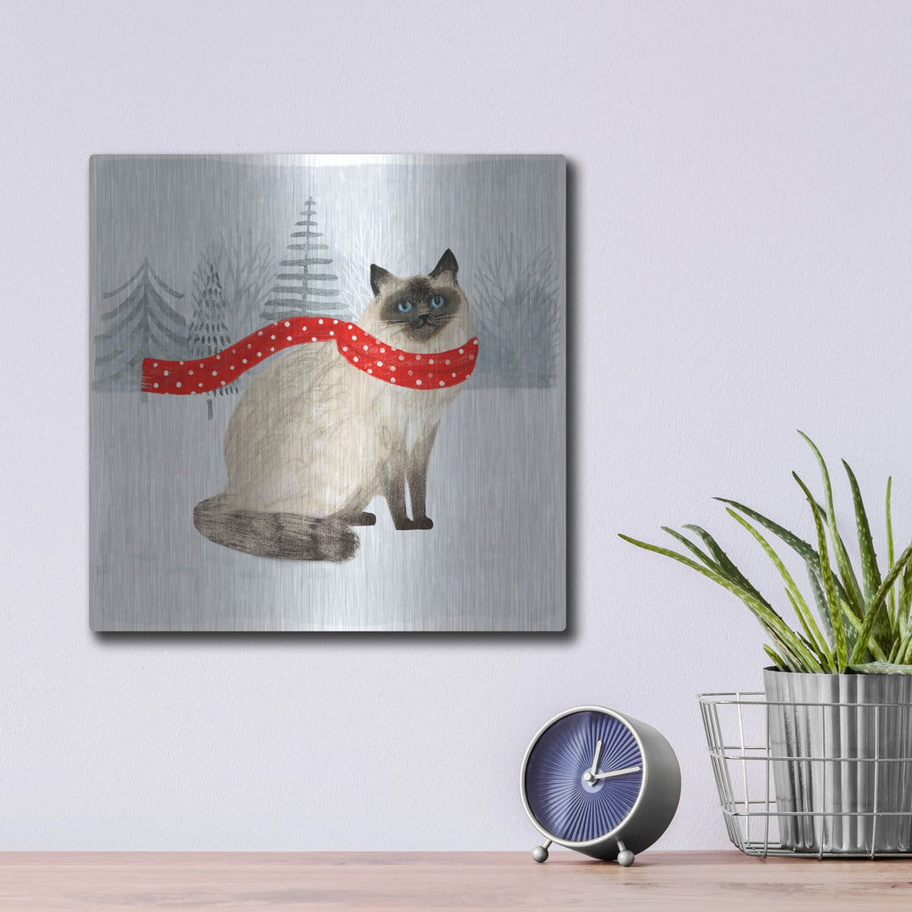 'Christmas Cats & Dogs III' by Victoria Borges – Metal Wall Art, 12x12 room view
