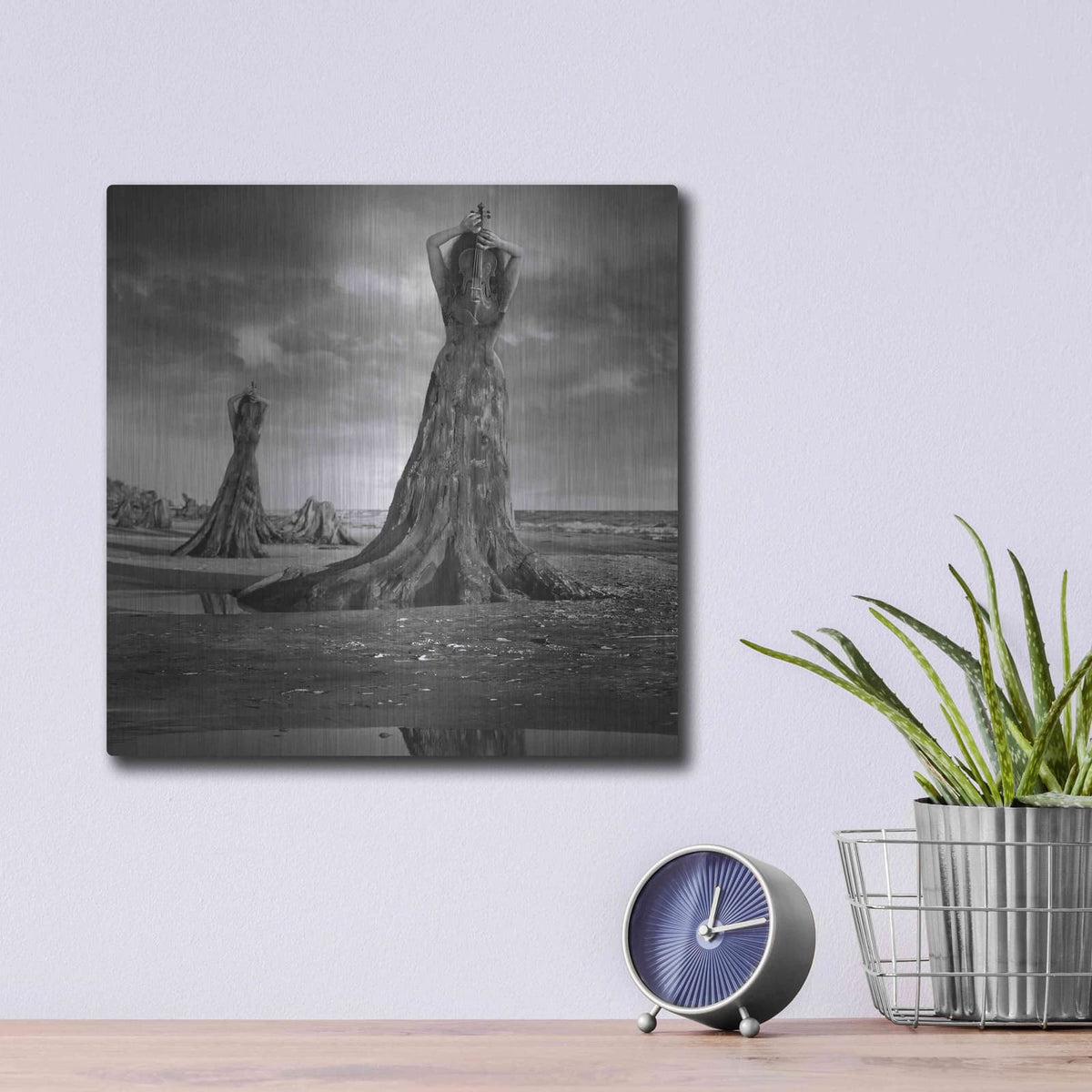'Moll' by Dariusz Klimczak – Metal Wall Art, 12x12 room view