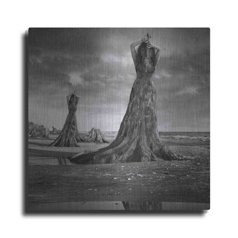 'Moll' by Dariusz Klimczak – Metal Wall Art