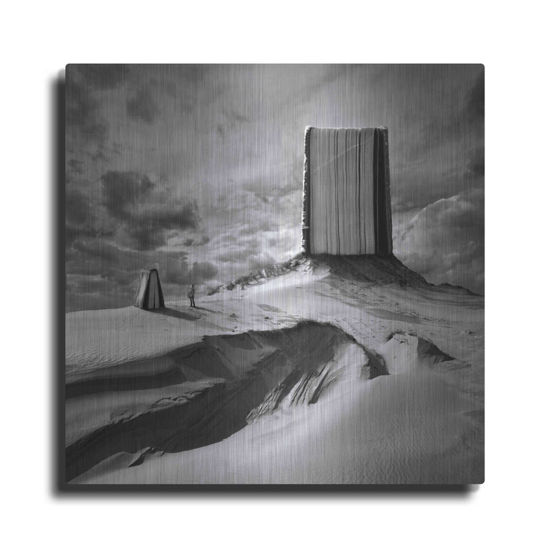 'Bookland' by Dariusz Klimczak – Metal Wall Art