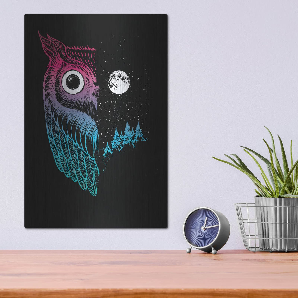 'Night Owl' by Michael Buxton – Metal Wall Art, 12x16 room view