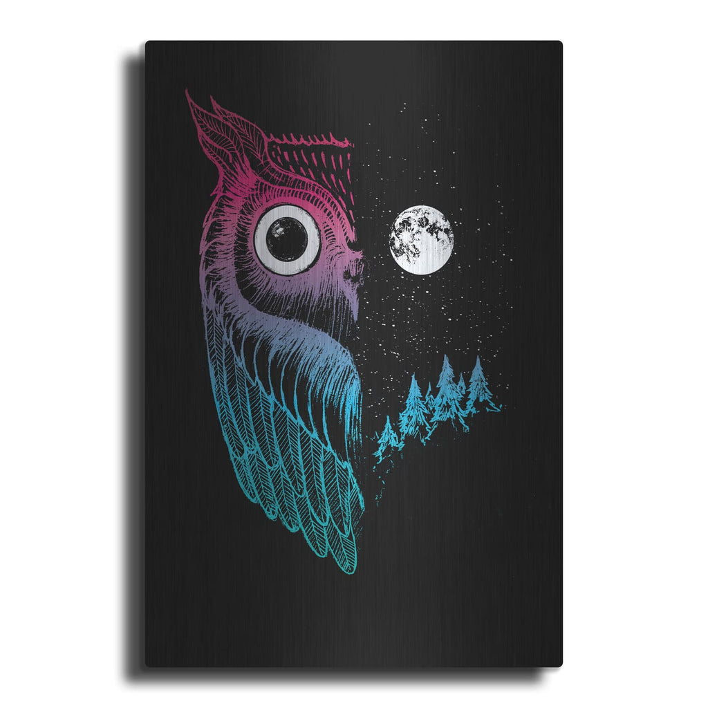 'Night Owl' by Michael Buxton – Metal Wall Art