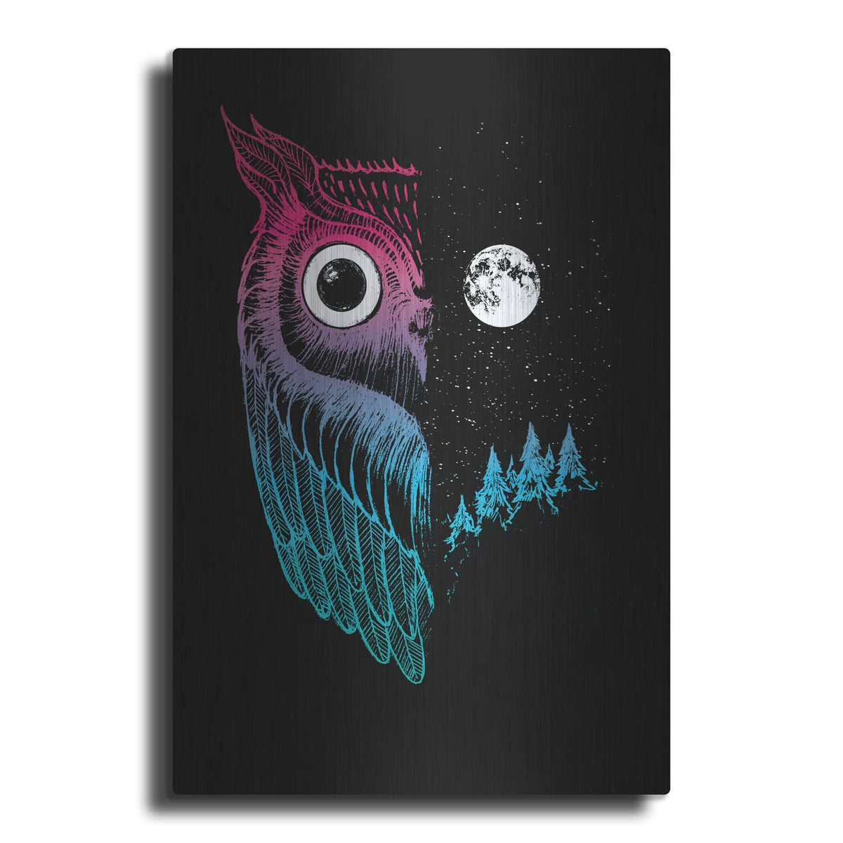 'Night Owl' by Michael Buxton – Metal Wall Art