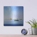 'Blue Couta 2' by Craig Trewin Penny – Metal Wall Art, 12x12 room view