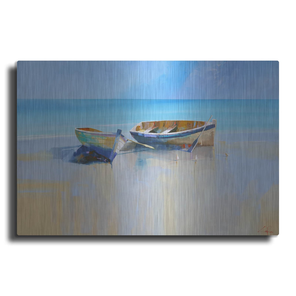'Afternoon Gulls' by Craig Trewin Penny – Metal Wall Art
