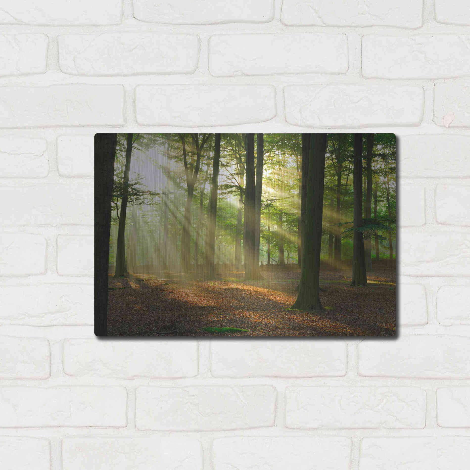 Luxe Metal Art 'Rays of Light,' Metal Wall Art,16x12