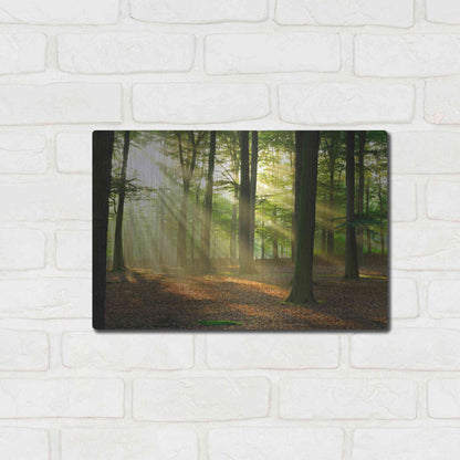 Luxe Metal Art 'Rays of Light,' Metal Wall Art,16x12