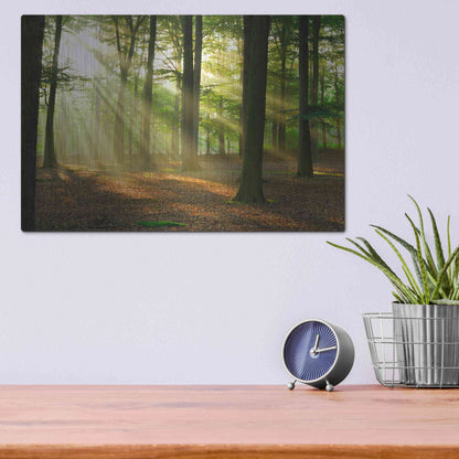 Luxe Metal Art 'Rays of Light,' Metal Wall Art,16x12