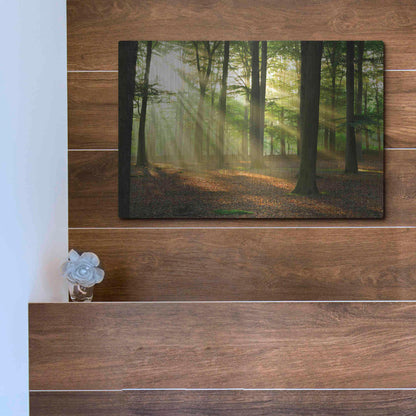 Luxe Metal Art 'Rays of Light,' Metal Wall Art,16x12