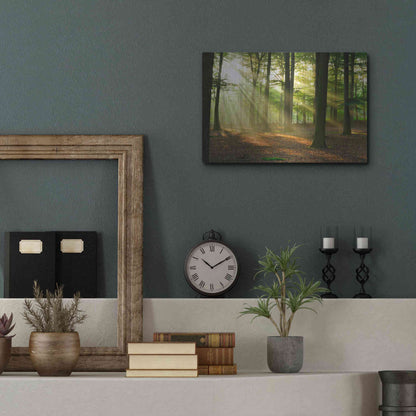 Luxe Metal Art 'Rays of Light,' Metal Wall Art,16x12