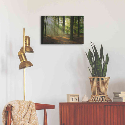 Luxe Metal Art 'Rays of Light,' Metal Wall Art,24x16