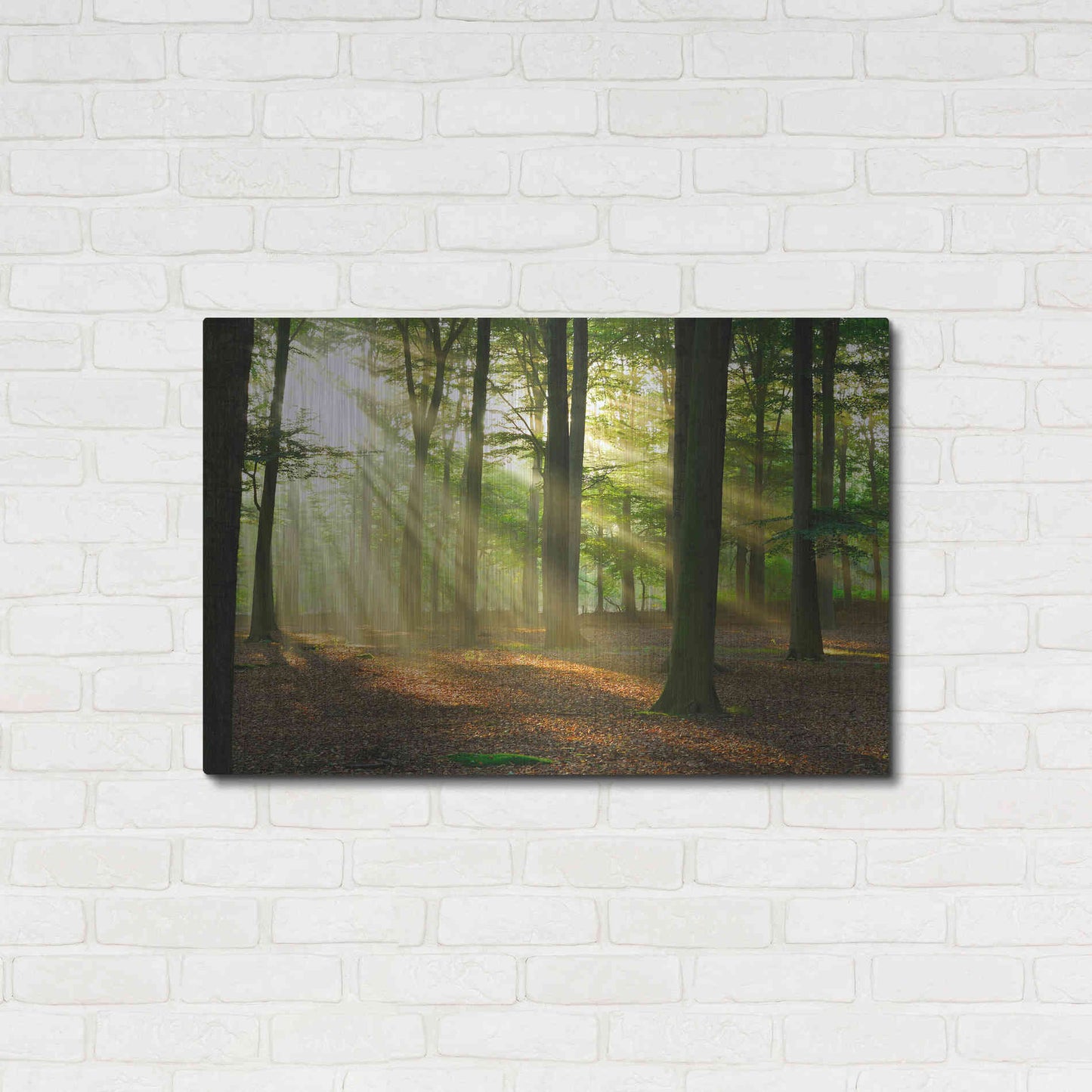 Luxe Metal Art 'Rays of Light,' Metal Wall Art,36x24