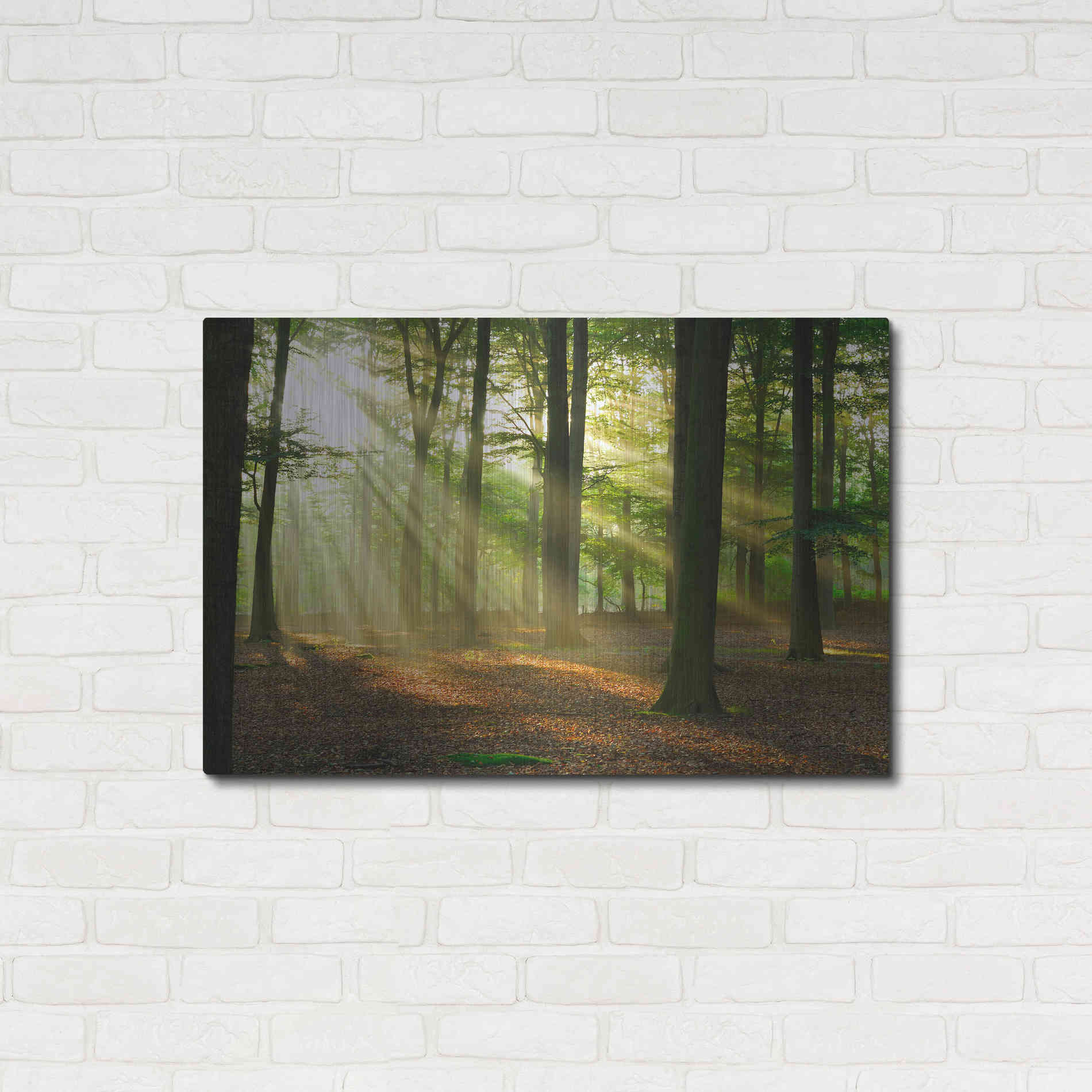 Luxe Metal Art 'Rays of Light,' Metal Wall Art,36x24