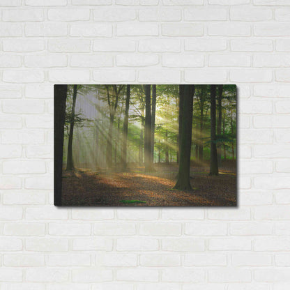 Luxe Metal Art 'Rays of Light,' Metal Wall Art,36x24