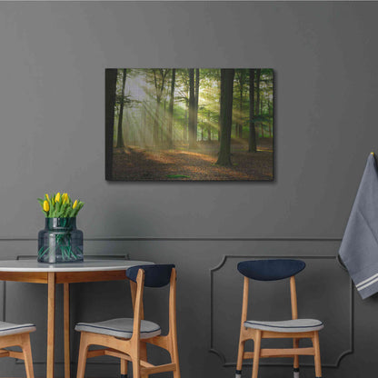 Luxe Metal Art 'Rays of Light,' Metal Wall Art,36x24