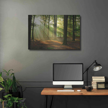 Luxe Metal Art 'Rays of Light,' Metal Wall Art,36x24