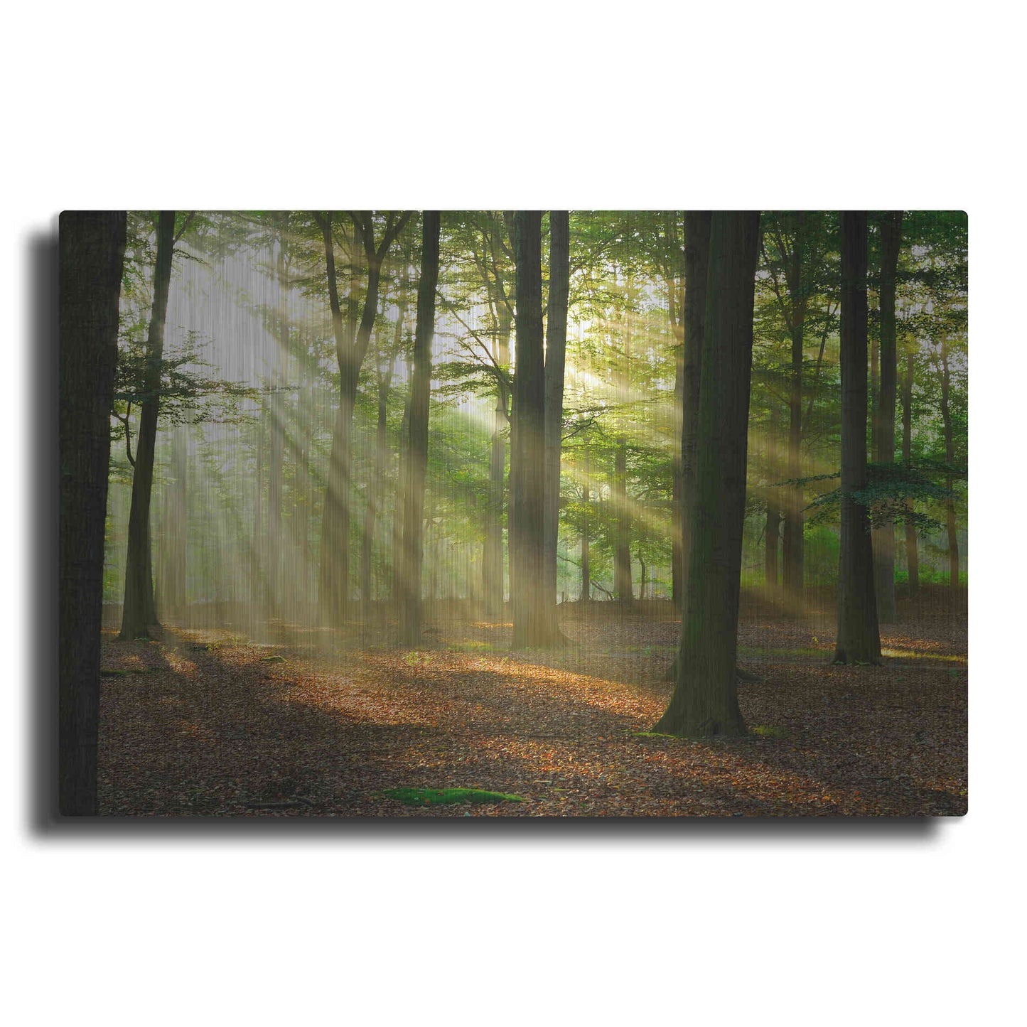 Luxe Metal Art 'Rays of Light,' Metal Wall Art