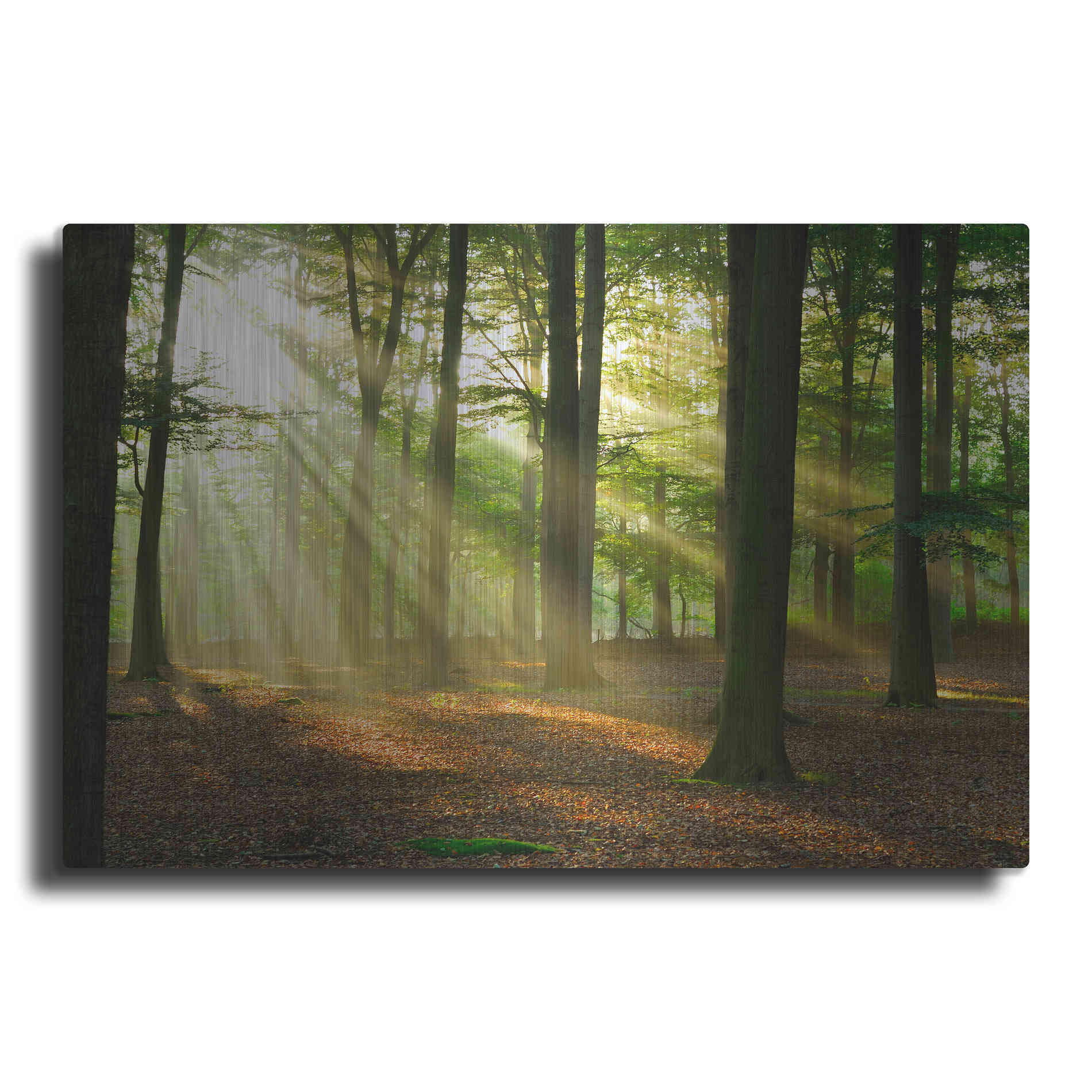 Luxe Metal Art 'Rays of Light,' Metal Wall Art