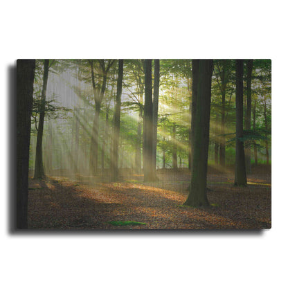 Luxe Metal Art 'Rays of Light,' Metal Wall Art