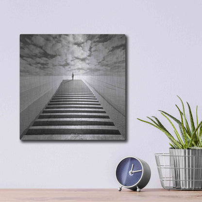 Luxe Metal Art 'The Observer' by Dariusz Klimczak, Metal Wall Art,12x12