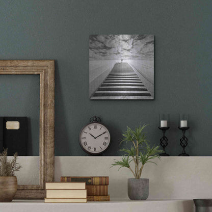 Luxe Metal Art 'The Observer' by Dariusz Klimczak, Metal Wall Art,12x12