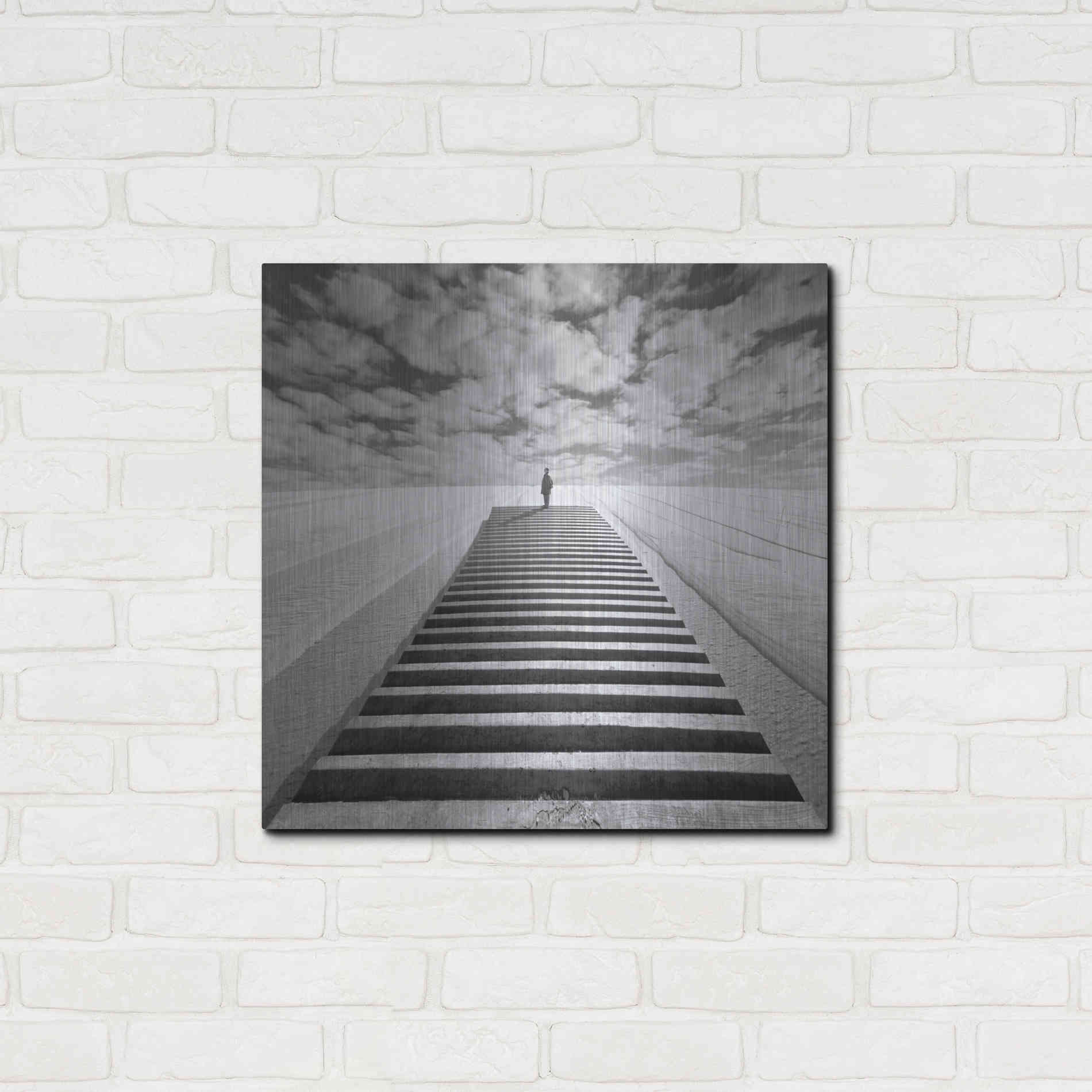 Luxe Metal Art 'The Observer' by Dariusz Klimczak, Metal Wall Art,24x24