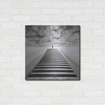 Luxe Metal Art 'The Observer' by Dariusz Klimczak, Metal Wall Art,24x24