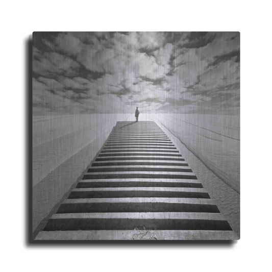 Luxe Metal Art 'The Observer' by Dariusz Klimczak, Metal Wall Art