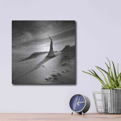 Luxe Metal Art 'Theater of Dreams' by Dariusz Klimczak, Metal Wall Art,12x12