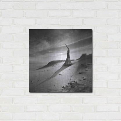 Luxe Metal Art 'Theater of Dreams' by Dariusz Klimczak, Metal Wall Art,24x24