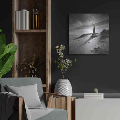 Luxe Metal Art 'Theater of Dreams' by Dariusz Klimczak, Metal Wall Art,24x24
