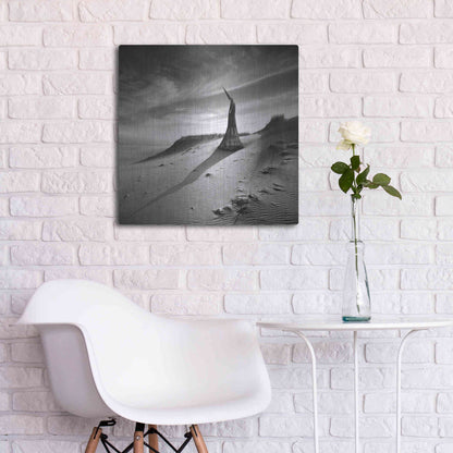 Luxe Metal Art 'Theater of Dreams' by Dariusz Klimczak, Metal Wall Art,24x24