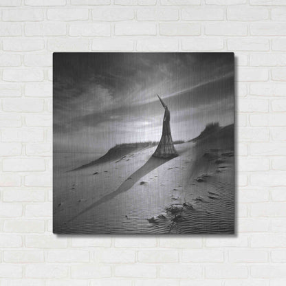Luxe Metal Art 'Theater of Dreams' by Dariusz Klimczak, Metal Wall Art,36x36