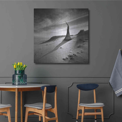 Luxe Metal Art 'Theater of Dreams' by Dariusz Klimczak, Metal Wall Art,36x36