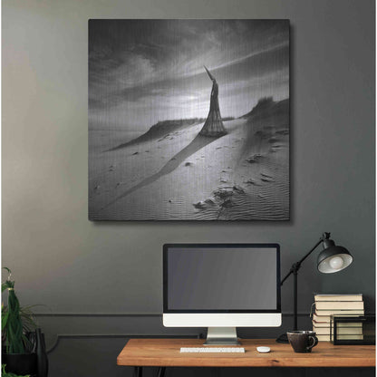 Luxe Metal Art 'Theater of Dreams' by Dariusz Klimczak, Metal Wall Art,36x36