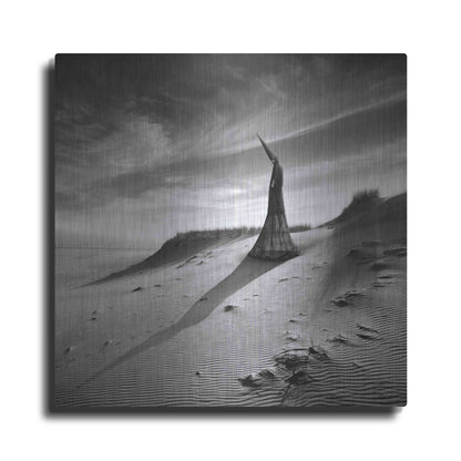 Luxe Metal Art 'Theater of Dreams' by Dariusz Klimczak, Metal Wall Art