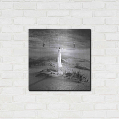 Luxe Metal Art 'Twins' by Dariusz Klimczak, Metal Wall Art,24x24